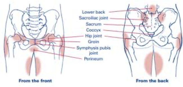 Pelvic girdle pain (PGP) —